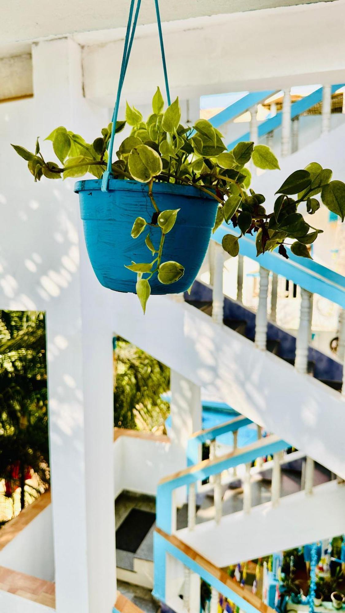 Omkar Wellness Inn Arambol Εξωτερικό φωτογραφία