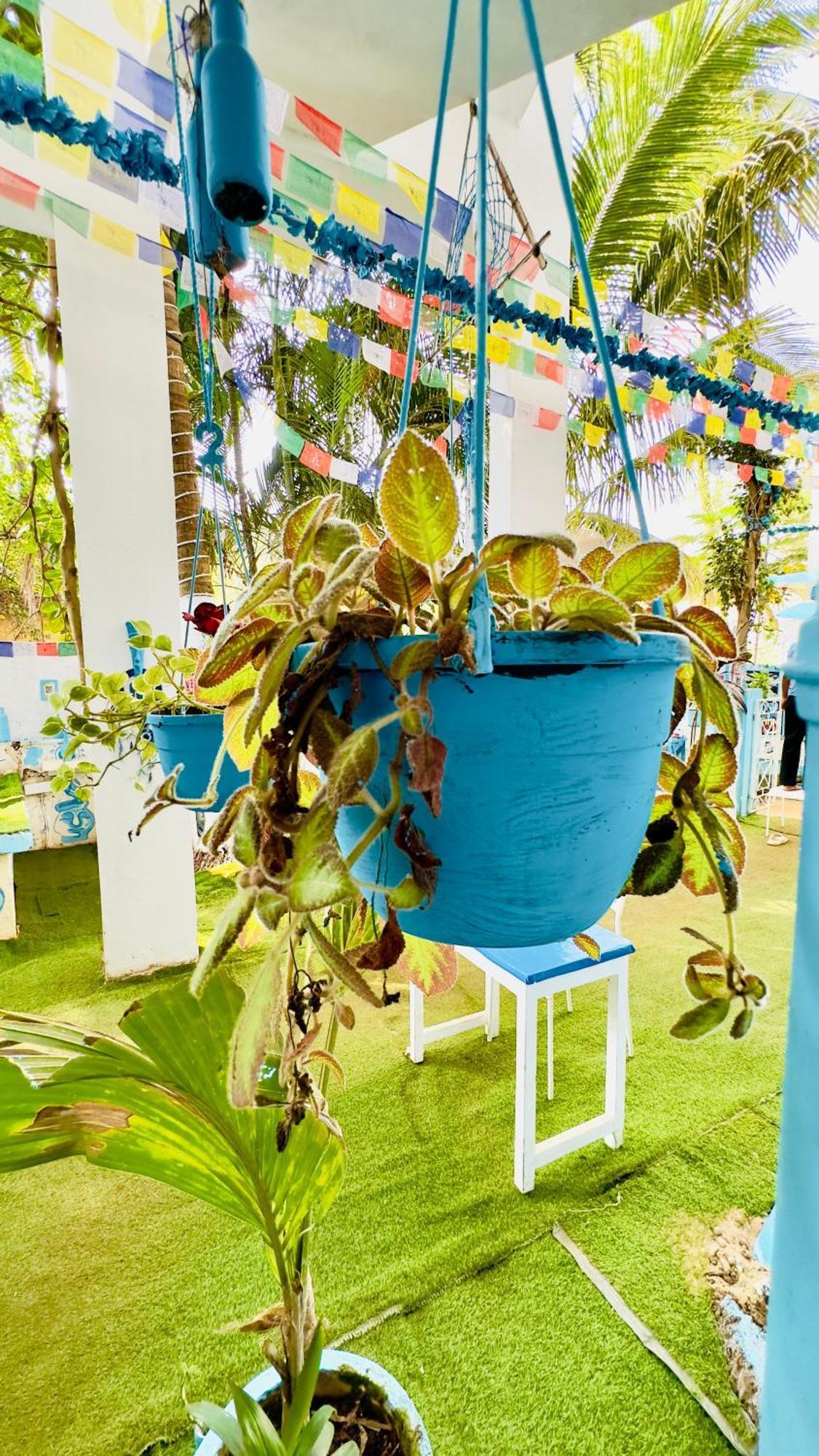 Omkar Wellness Inn Arambol Εξωτερικό φωτογραφία