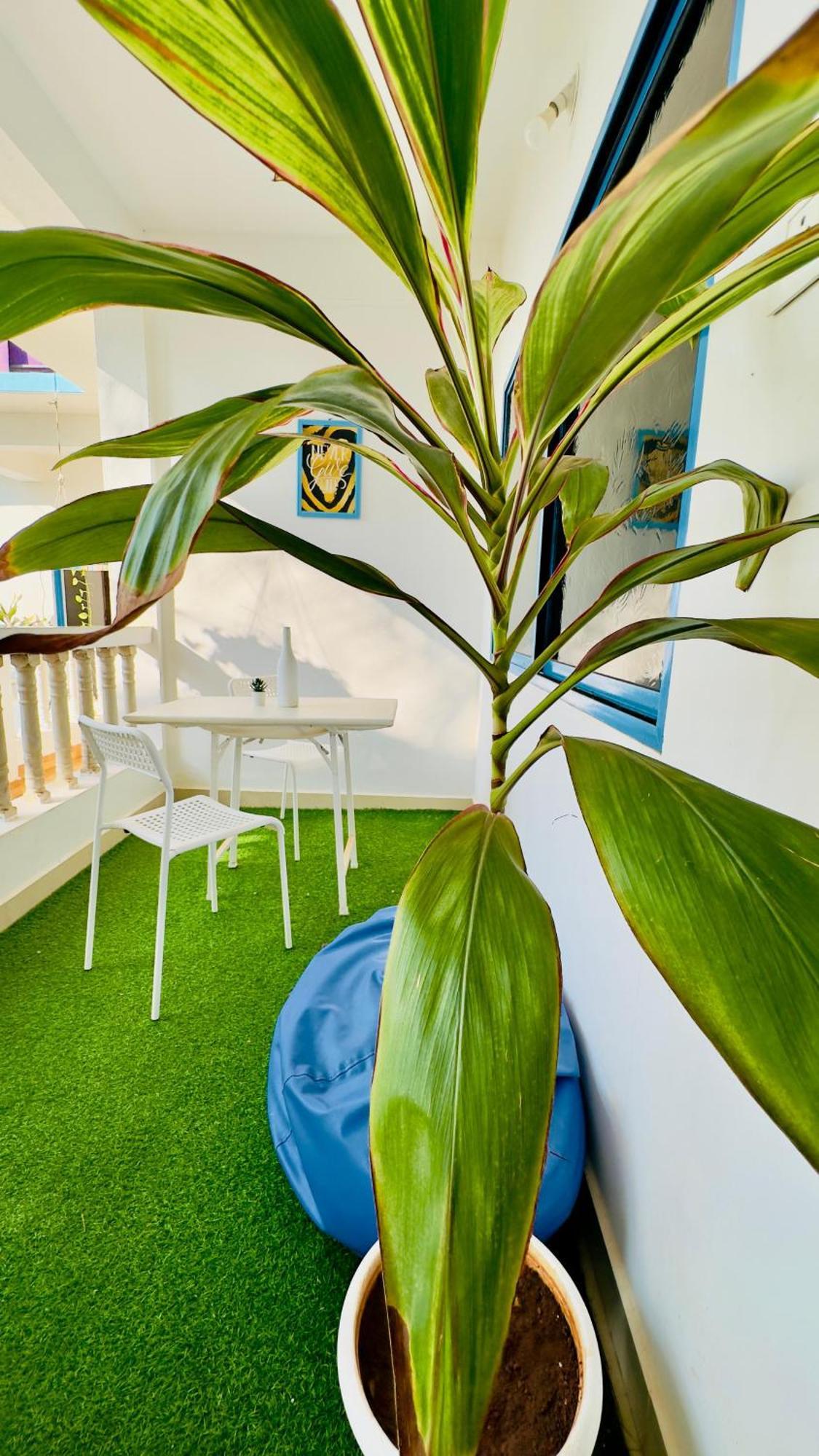 Omkar Wellness Inn Arambol Εξωτερικό φωτογραφία