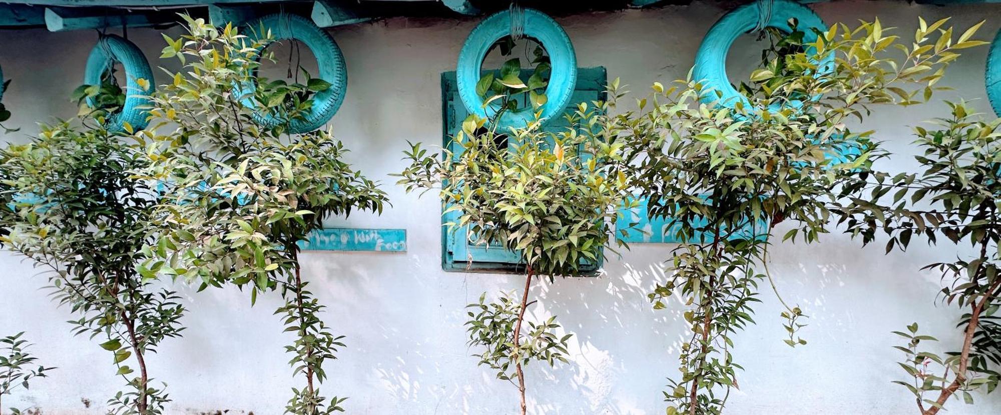 Omkar Wellness Inn Arambol Εξωτερικό φωτογραφία